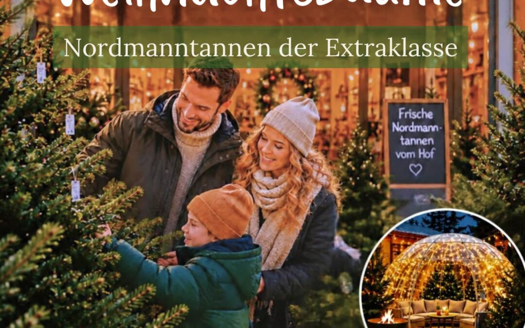 Weihnachtsbaumverkauf 2026 bei Hof Schröder